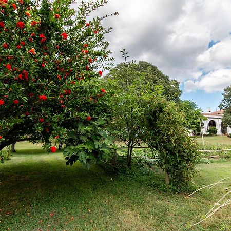 Agriturismo Monte Scala Taglio Di Po Exterior photo