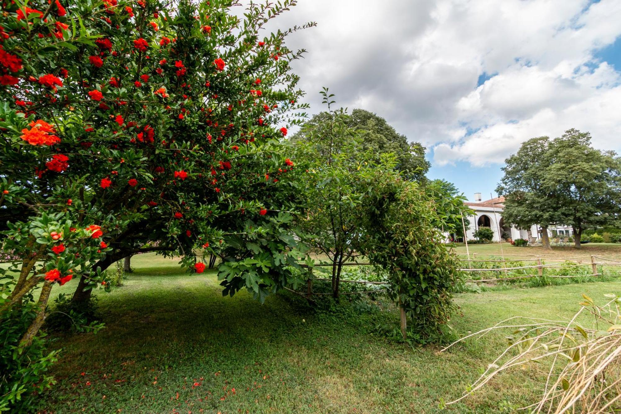 Agriturismo Monte Scala Taglio Di Po Exterior photo